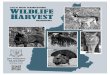 2016 NEW HAMPSHIRE WILDLIFE NEW HAMPSHIRE SUMMARY WILDLIFE HARVEST NEW HAMPSHIRE FISH AND GAME DEPARTMENT 11 Hazen Drive Concord, NH 03301 (603) 271-2461 2016 NEW HAMPSHIRE SUMMARY