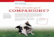 Why are pets good COMPANIONS? - Brandywine …mandikercher.bhasd.org/.../sites/86/2016/08/The-Last-Dog.pdfBefore Reading 46 The Last Dog Short Story by Katherine Paterson Why are pets