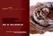GLOBAL TIGER INITIATIVE - World   Global Tiger Initiative Global Tiger Initiative stakeholders build political and