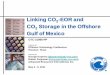 Linking CO2-EOR and CO2 Storage in the Offshore … Storage in the Offshore Gulf of Mexico OTC-21986-PP Prepared for: Off h T h l C fOffshore Technology Conference ... 2 trunk line