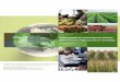 products, services, or technologies nor does it endorse or … ·  · 2013-12-18B. AURI’s Role in Advancing Agbioscience and Associated Economic Development in Minnesota ... centered