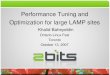 Performance Tuning and Optimization for large LAMP sites · Google Summer of Code mentoring (2005, 2006, 2007) 2bits ... Adsense Userpoints 