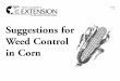 Suggestions for Weed Control in Corn - Texas A&M AgriLifecolorado.agrilife.org/files/2011/08/weed-control-for-corn_20.pdf · manage weeds without causing economic loss or environmental