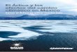 El Ártico y los efectos del cambio climático en Méxicom.greenpeace.org/mexico/Global/mexico/Docs/2013/Artico2013-WEB... · 4 El Ártico y los efectos del cambio climático en México