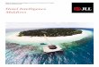 Hotel Intelligence Maldives - JLL Intelligence Maldives 5 Malé As the capital of the Maldives, Malé is the epicentre for much of the country’s political, economic and social activities