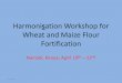 Harmonisation Workshop for Wheat and Maize Flour … and Maize Flour Fortification Nairobi; ... ferrous sulphate most prefered ... •It appears to be possible to fortify Asian foods