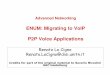 ENUM: Migrating to VoIP P2P Voice Applicationsdisi.unitn.it/locigno/didattica/AdNet/10-11/05-4_VoIP...Advanced Networking ENUM: Migrating to VoIP P2P Voice Applications RenatoLo Cigno