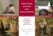Selecting Plants for Pollinators - Pollinator Partnershippollinator.org/PDFs/Guides/LowerMississRiverine.rx1FINAL.pdf · The beauty of the situation is that by supporting pollinators’