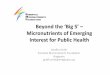 2013, Smith, Beyond the ‘Big 5’ – Micronutrients of ...ilsisea-region.org/wp-content/uploads/sites/21/2016/06/Geoff-Smith.pdf · Beyond the ‘Big 5’ – Micronutrients of