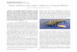 Passive Undulatory Gaits Enhance Walking in a Myriapod ... · Passive undulatory gaits enhance walking in a myriapod millirobot Katie L. Hoffman and Robert J. Wood Abstract The design