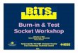 Burn-in & Test Socket Workshop · Burn-in & Test Socket Workshop Technical Program ... 9Lot Summary Report / database ... SSOP &PLCC 4) Specifications