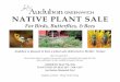 NATIVE PLANT SALE - Audubon Greenwichgreenwich.audubon.org/sites/g/files/amh711/f/2016_plant_sale... · NATIVE PLANT SALE For Birds, Butterflies, & Bees ... Red Chokeberry Nannyberry