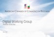 Digital Working Group - AmCham Bulgaria · Digital Working Group Priorities ... Universities and secondary schools in the training and ... needed in ICT/Outsourcing 3. Action Plan