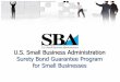 U.S. Small Business Administration Surety Bond Guarantee ...vboc.org/wp-content/uploads/2016/10/FY16-Florida-Small-Businesses.… · U.S. Small Business Administration Surety Bond
