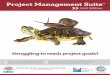 Project Management Suite - University of Management and ... · Project Management Suite ... PMP, CAPM, PgMP, PMBOK®, the PMI Registered Education Provider logo and the PMI Global