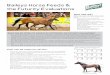 Baileys Horse Feeds & the Futurity Evaluations - BEF - … · Baileys Horse Feeds & the Futurity Evaluations ... compressing on the digestive system), ... The most nota- ble deficiencies