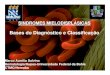 SINDROMES MIELODISPLÁSICASSINDROMES … · SMD - Fisiopatologia Deseqqguilíbrio entre meio ambiente medular e clone maligno: lesão stem cell: rearranjo molecular mutação molecular