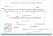 Molecular biology cheat sheet - cs ... - cs. · PDF fileMolecular biology cheat sheet ... Molecular biology primer Molecular Biology Primer by Angela Brooks, ... mediate information
