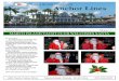 Volume 12 - Marco Island Yacht Club · January 2012 Volume 12.1 Anchor Lines MARCO ISLAND YACHT CLUB By Laverne Davy The Marco Island Yacht Club was donned with mistletoe and holly,