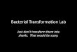 Bacterial Transformation Lab - Central Bucks School District · Bacterial Transformation Lab Just don’t transform them into sharks. ... them with a gene on a plasmid called pGLO