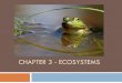 Chapter 3 - Ecosystems - Shelby County Schoolspodcasts.shelbyed.k12.al.us/lsparks/files/2012/08/Chap… ·  · 2012-08-07CHAPTER 3 - ECOSYSTEMS . Lesson 1 – Parts of Ecosystems