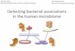 Prediction of bacterial interactions in the human …psbweb05.psb.ugent.be/conet/karoline/documents/...Detecting bacterial associations in the human microbiome 10th October 2012 Bertinoro