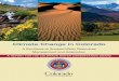 Climate Change in Colorado - Argonne National …ulpeis.anl.gov/documents/dpeis/references/pdfs/Hoerling...Climate Change in Colorado A Synthesis to SupportWater Resources Management