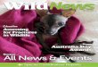 WildNews - Wildcare Australia · edition of WildNews. ... Marissa Duggan, Heather Palfrey and Ian Palfrey, Wendy Tomkins, Natalie Munsie, ... Michael Wilson By Siobhan Brierley