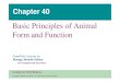 Basic Principles of Animal Form and Function Bio Fall 2012/40...Cellular respiration ... Inc. publishing as Benjamin Cummings ... Copyright © 2005 Pearson Education, Inc. publishing