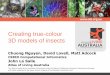 Creating true-colour 3D models of true-colour 3D models of insects Chuong Nguyen, David Lovell, Matt Adcock CSIRO Computational Informatics John La Salle Atlas of Living Australia