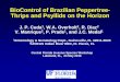 BioControl of Brazilian Peppertree- Thrips and … of Brazilian Peppertree- Thrips and Psyllids on the Horizon ... More Likely ca. 1900 ... 30 40 50 MAIN STEM FIRST 
