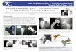 Design Rationale MSA™ Total Hip Stem Design (Muscle ... · Joint Implant Surgery & Research Foundation Chagrin Falls, Ohio, USA AML® Stem Taper-Lock™ Stem Huggler Hip Examples