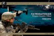 Col Michael Schmidt - … · Col Michael Schmidt . ... SOFSA/Lockheed Martin, SNC, L3 WesCam, ForceX, ... • Field improved ramp gun mount • Field Block 20 upgrades