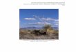 Structure and Function of Chihuahuan desert Ecosystem The Jornada …jornada.nmsu.edu/bibliography/06-057.pdf · Structure and Function of Chihuahuan desert Ecosystem The Jornada