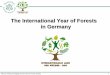 The International Year of Forests in Germany - unece.org · The International Year of Forests in Germany . ... and the forestry to many people ... create ideas central and let the