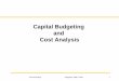 Capital Budgeting and Cost Analysis - Lehrstuhl für …Acco… ·  · 2016-01-08Capital Budgeting Methods Net Present Value (NPV) Internal Rate of Return ... Increase in operating