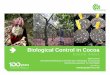Biological Control in Cocoa - icco.org interest in the use of biological control ... Biological control is deemed to be a more natural or ... Have been used as natural enemies to reduce