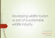 Developing wildlife tourism as part of a sustainable wildlife tourism as part of a sustainable wildlife industry. By Jacques Kriek Info@mattanu.com 083 235 1993 Four pillars of the