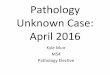 Pathology Unknown Case: April 2016 - ohsu.edu · Pathology Unknown Case: April 2016 Kyle Muir MS4 ... condion? a. CMV reacvaon b. ... Diarrhea 500–1000 mL/d 2