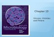 Chapter 13 - Bellarmine University Readings...13.1. GENERAL CHARACTERISTICS OF VIRUSES Virion (viral particle) is nucleic acid, protein coat • Protein coat is capsid: protects nucleic
