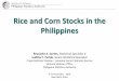 Rice and Corn Stocks in the Philippines · Rice and Corn Stocks in the Philippines 9-11 November 2016 ... A. Printed Name of CSS Provincial Officer: ... Preparation and
