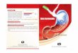 The new age Gastroprotectant - puneetlabs.compuneetlabs.com/pdf/Zinc_carnosine-Brochure.pdf · The new age Gastroprotectant Zinc Carnosine ZINC CARNOSINE Effect of Zinc Carnosine