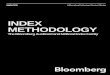 INDEX METHODOLOGY - Bloomberg Professional Services · The index methodology undergoes a formal review process at least once each year to ensure ... The inputs used in index construction