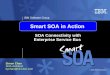 Smart SOA in Action - IBM · Smart SOA in Action SOA Connectivity with ... Misc Accounting/Finance Apps - PC/NT AIMS ... and creation of solution assets
