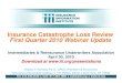 Insurance Catastrophe Loss ReviewInsurance Catastrophe ... · Insurance Catastrophe Loss ReviewInsurance Catastrophe Loss Review ... Platform Will Be Significant and One of the Largest
