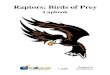 Raptors: Birds of Prey - Knowledge Box Centralknowledgeboxcentral.com/L_RBP_Sample.pdfRaptors: Birds of Prey Lapbook Student Instruction Guide Booklet 1: What makes a bird a raptor?