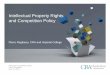 Intellectual Property Rights and Competition Policy - OECD · Intellectual Property Rights and Competition Policy ... A clause in a licensing contract whereby ... • Does it extend