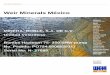 Weir Minerals México - Edobs · Weir Minerals México . MINERA ROBLE, ... Slide bracket allows for easier installation on-site ... Hazleton PA 18201 PO Box 488, Hazleton PA 18201