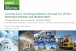 Lowering Costs of Hydrogen Pipelines Through Use … Costs of Hydrogen Pipelines through ... Delivery- Code Case Approval • ASME B31.12 ... Through Use of Fiber Reinforced Polymers
