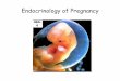 Endocrinology of Pregnancy - The Medical University … of Reproduction/BOR...Gravidity - oviparous species • retain egg for species specific period • time defined by: – length